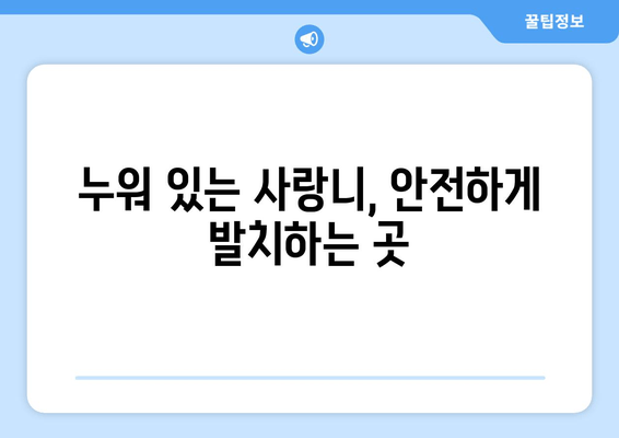 김포 누워 있는 사랑니 충치 치료 잘하는 치과 추천 | 사랑니 발치, 신경치료, 임플란트