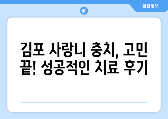 김포 치과 사랑니 충치 치료 경험담| 성공적인 치료 사례 공유 | 사랑니 발치, 충치 치료, 김포 치과 추천