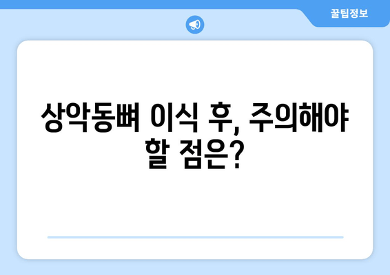 김포 치과 임플란트 상악동뼈 이식, 왜 중요할까요? | 임플란트 성공을 위한 필수 정보