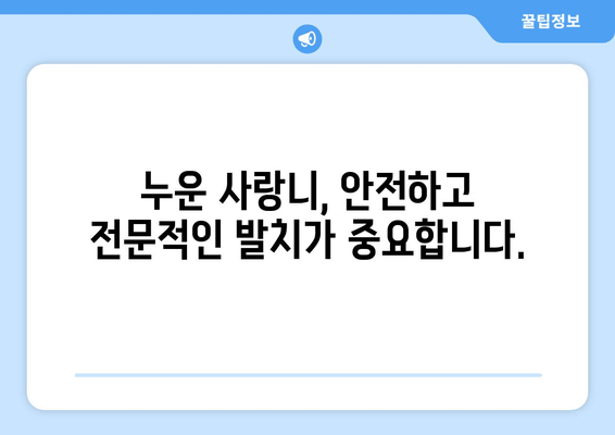 김포 사랑니 누워있음, 전문적인 치료 해결책 찾기 | 사랑니 발치, 누운 사랑니, 김포 치과 추천