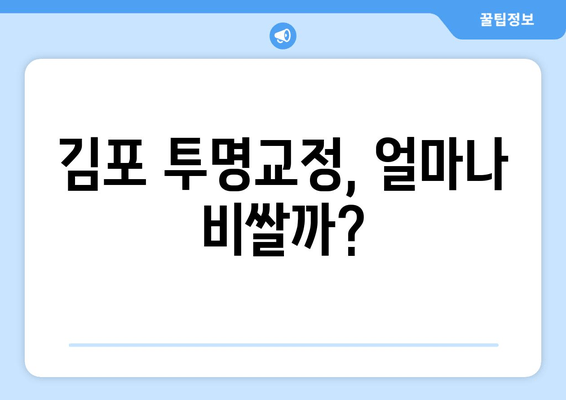 김포 투명교정, 가능할까요? | 조건 & 비용 & 추천 치과