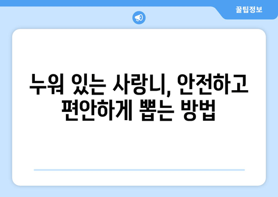 김포 치과 사랑니 & 어금니 충치 치료 성공 사례| 누워 있는 사랑니, 어떻게 뽑았을까요? | 김포, 사랑니 발치, 어금니 충치, 치료 후기, 치과 추천