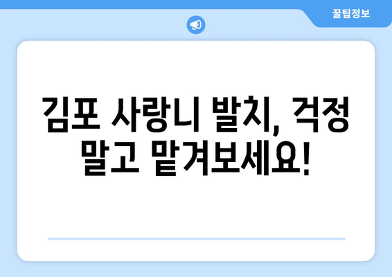 김포 치과 사랑니 & 어금니 충치 치료 성공 사례| 누워 있는 사랑니, 어떻게 뽑았을까요? | 김포, 사랑니 발치, 어금니 충치, 치료 후기, 치과 추천