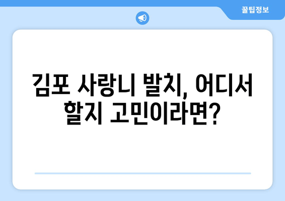 김포 사랑니 누워있음, 전문적인 치료 해결책 찾기 | 사랑니 발치, 누운 사랑니, 김포 치과 추천