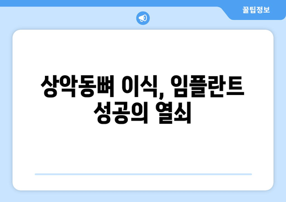 김포 치과 임플란트 상악동뼈 이식, 왜 중요할까요? | 임플란트 성공을 위한 필수 정보