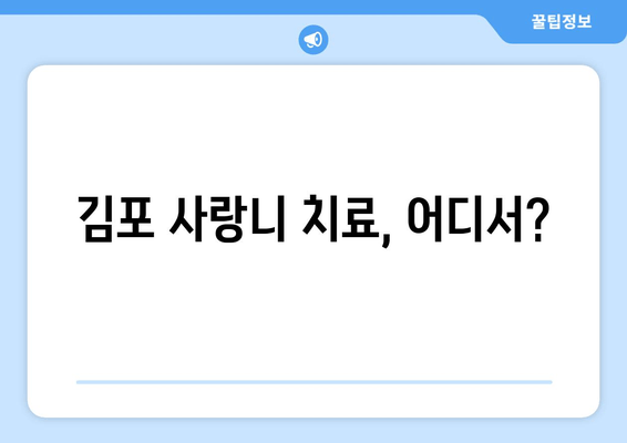 김포 누워 있는 사랑니 충치 치료 잘하는 치과 추천 | 사랑니 발치, 신경치료, 임플란트