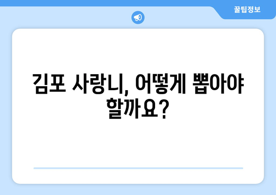 김포 사랑니 치료, 어떻게 해야 할까요? | 시나리오, 치과 선택, 비용, 주의사항