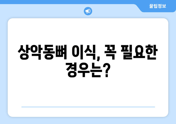 김포 치과 임플란트 상악동뼈 이식, 왜 중요할까요? | 임플란트 성공을 위한 필수 정보