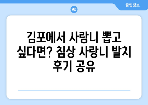 김포 치과| 침상 사랑니, 어금니 충치 해결 사례 공유 | 사랑니 발치, 어금니 치료, 김포 치과 추천