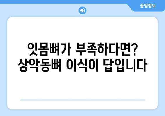 김포 치과에서 알아보는 상악동뼈 이식| 왜 필요할까요? | 임플란트, 잇몸뼈 이식, 치아 건강