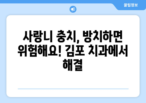 김포 치과 사랑니 충치 치료 경험담| 성공적인 치료 사례 공유 | 사랑니 발치, 충치 치료, 김포 치과 추천