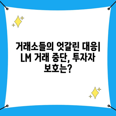 레저메타(LM) 90% 폭락 사태| 재단 입장, 수사 진행, 거래소 대응 | 코인 폭락, 사기 의혹, 투자 주의