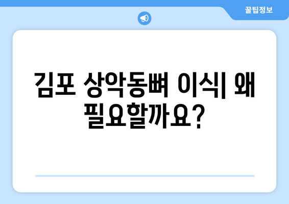 김포 치과 임플란트 상악동뼈 이식| 필요성과 과정 | 상악동 거상술, 임플란트 성공률, 김포 치과 추천