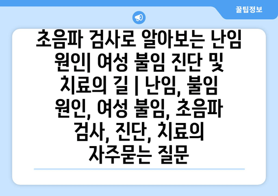 초음파 검사로 알아보는 난임 원인| 여성 불임 진단 및 치료의 길 | 난임, 불임 원인, 여성 불임, 초음파 검사, 진단, 치료