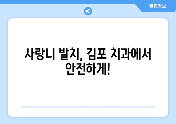 누워 있는 사랑니 충치, 김포 치과에서 찾은 해결책 | 사랑니 발치, 충치 치료, 김포 치과 추천