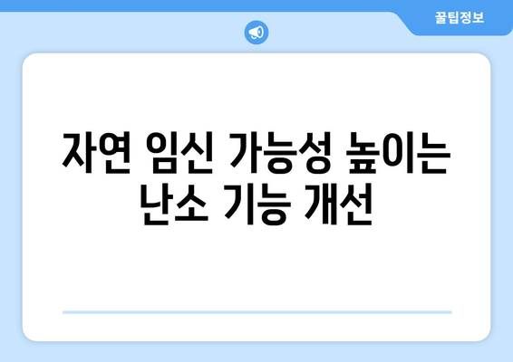 임신 성공률 높이는 가임력 보존 방법| 전문가가 알려주는 핵심 전략 | 난임, 난임 치료, 여성 건강, 난소 기능, 자연 임신