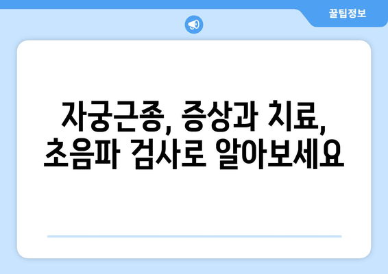 자궁 구조 이상, 초음파 검사로 정확히 확인하세요 | 자궁 기형, 자궁 내막증, 자궁근종, 여성 건강