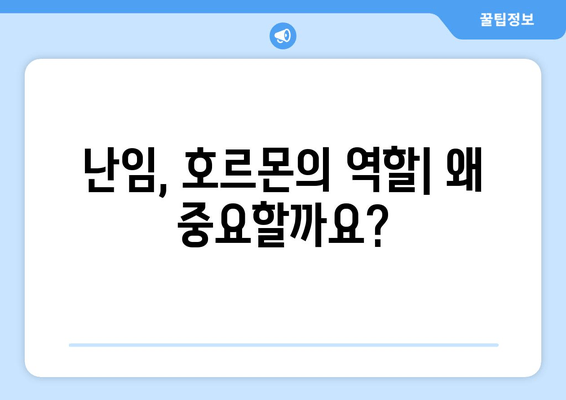 난임 극복을 위한 필수 지침| 호르몬의 역할과 치료법 | 난임, 호르몬, 치료, 난임 치료, 여성 건강