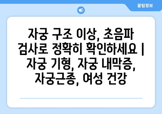 자궁 구조 이상, 초음파 검사로 정확히 확인하세요 | 자궁 기형, 자궁 내막증, 자궁근종, 여성 건강