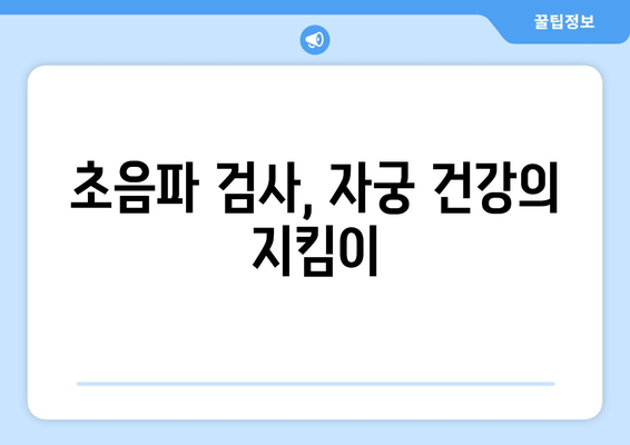 자궁 구조 이상, 초음파 검사로 정확히 확인하세요 | 자궁 기형, 자궁 내막증, 자궁근종, 여성 건강