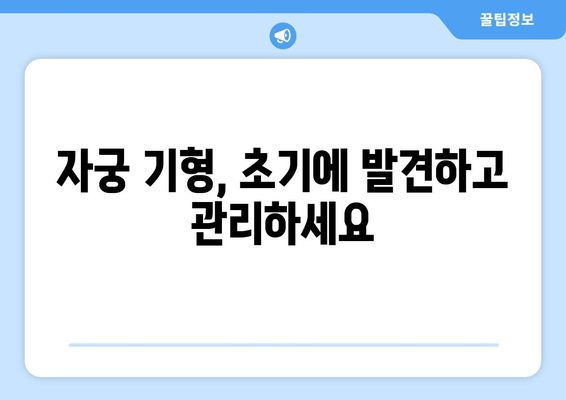 자궁 구조 이상, 초음파 검사로 정확히 확인하세요 | 자궁 기형, 자궁 내막증, 자궁근종, 여성 건강