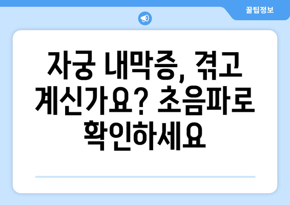 자궁 구조 이상, 초음파 검사로 정확히 확인하세요 | 자궁 기형, 자궁 내막증, 자궁근종, 여성 건강