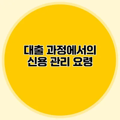 대출 과정에서의 신용 관리 요령
