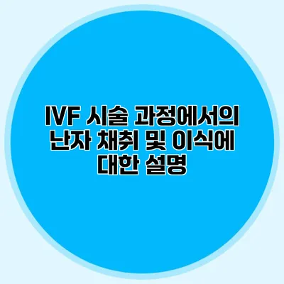 IVF 시술 과정에서의 난자 채취 및 이식에 대한 설명