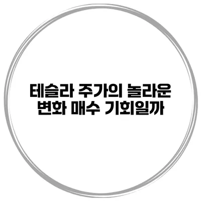 테슬라 주가의 놀라운 변화 매수 기회일까?
